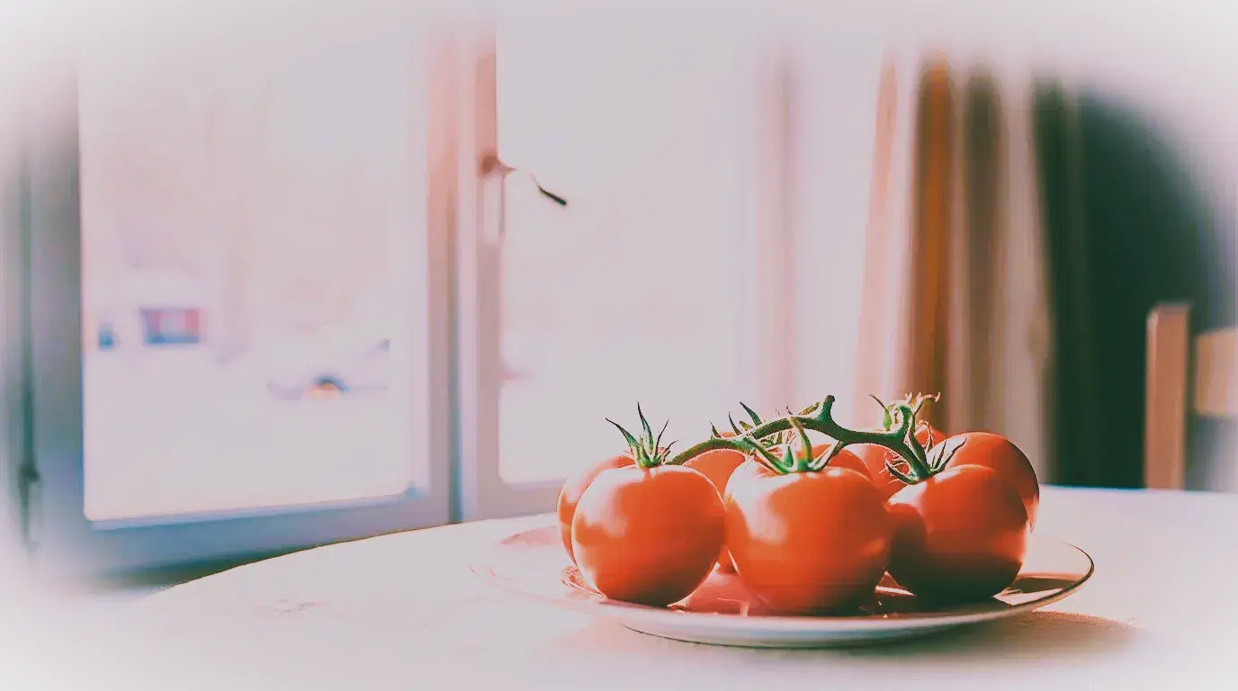 Pomidory na stole w zimie będące symbolem początku drogi do sukcesu Małgorzaty Jochaniak MJ